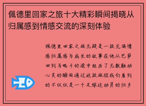 佩德里回家之旅十大精彩瞬间揭晓从归属感到情感交流的深刻体验