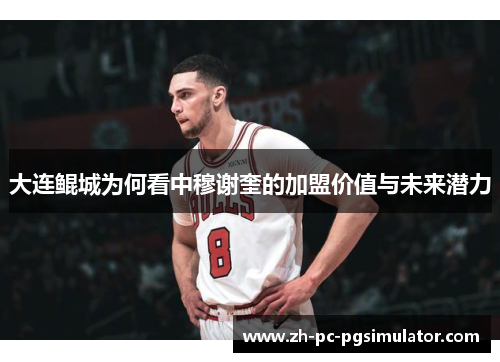 大连鲲城为何看中穆谢奎的加盟价值与未来潜力