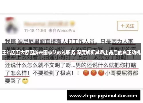 王皓因五大原因辞去国家队教练职务 深度解析其退出背后的真正动机
