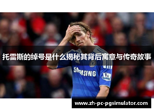 托雷斯的绰号是什么揭秘其背后寓意与传奇故事