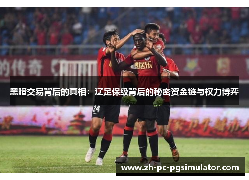 黑暗交易背后的真相：辽足保级背后的秘密资金链与权力博弈