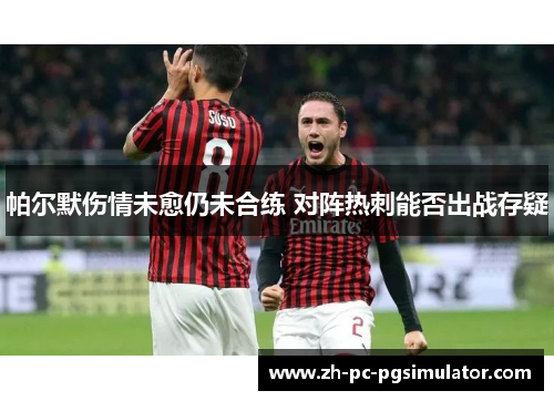 帕尔默伤情未愈仍未合练 对阵热刺能否出战存疑